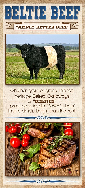 Purchase Belted Galloway Freezer Beef